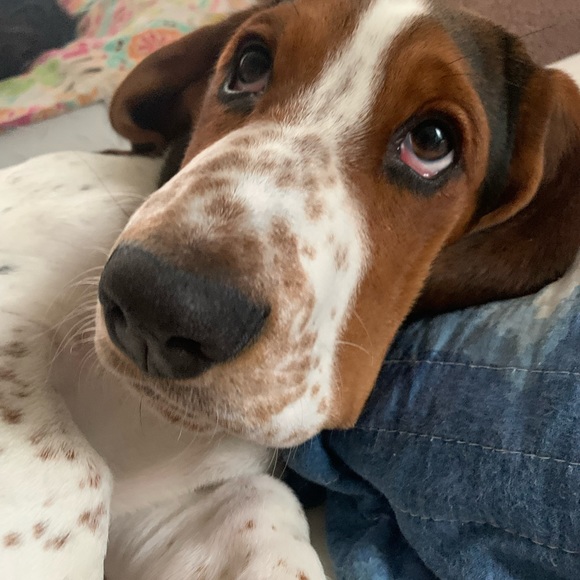 Meet your Posher, Mandy - Picture 10 of 10